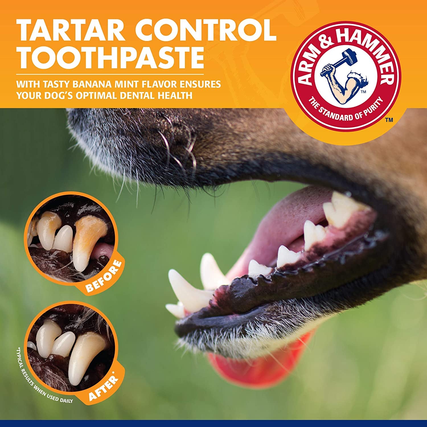 Pets Tartar Control Kit for Dogs- Reduces Plaque & Tartar Buildup 3-Piece Kit(Pack of 1)