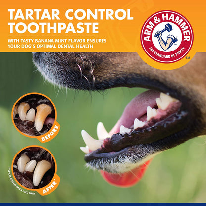 Pets Tartar Control Kit for Dogs- Reduces Plaque & Tartar Buildup 3-Piece Kit(Pack of 1)
